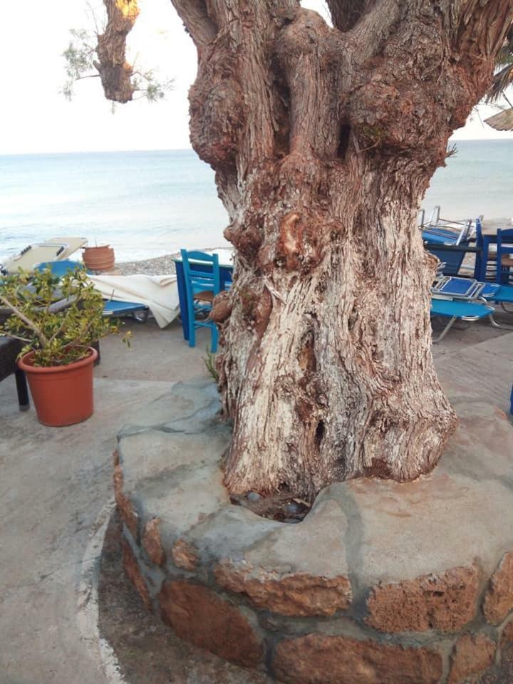 Beachfront Apartment Kato Zakros Zákros Exterior foto